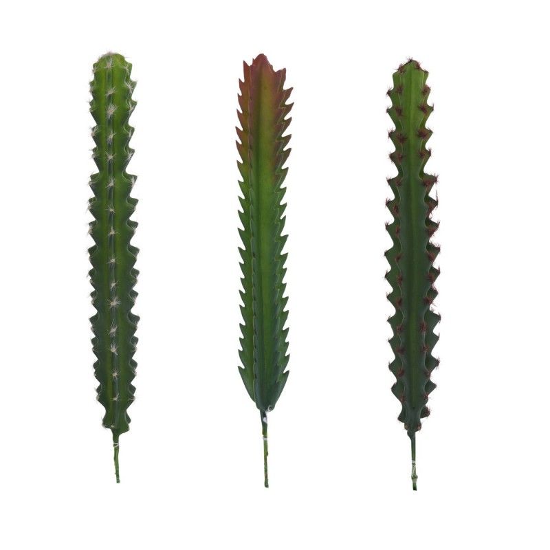 RAMA CACTUS SARI 31cm