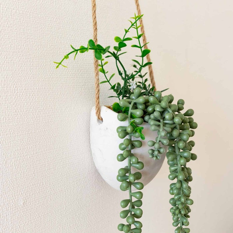 PLANTA COLGANTE SUCULENTA YAIZA 9cm