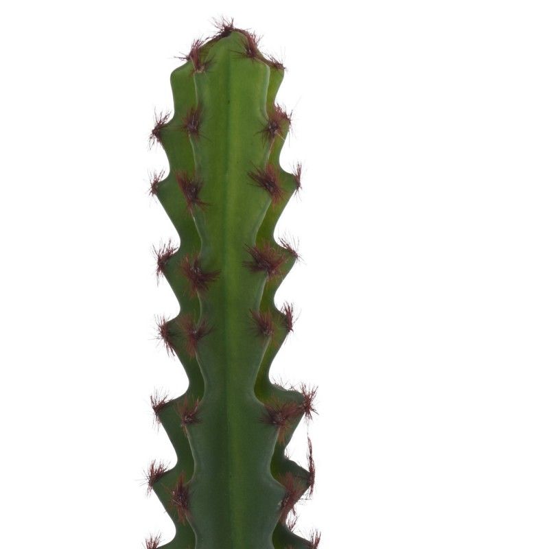 RAMA CACTUS SARI 31cm