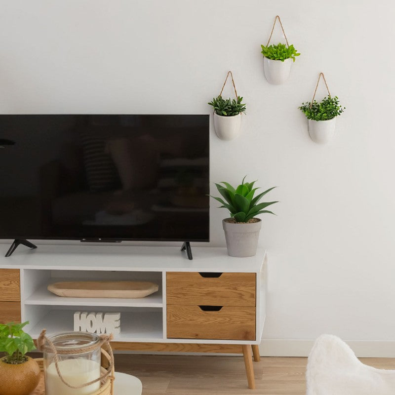 PLANTA COLGANTE MADI 20cm