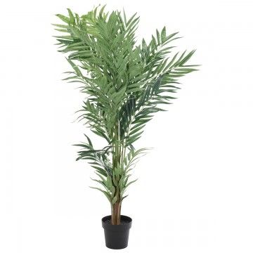 PLANTA PALMERA CAIRO 150CM