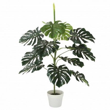 PLANTA MONSTERA AILYN 110CM