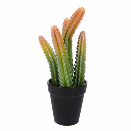 PLANTA CACTUS FURES 27CM