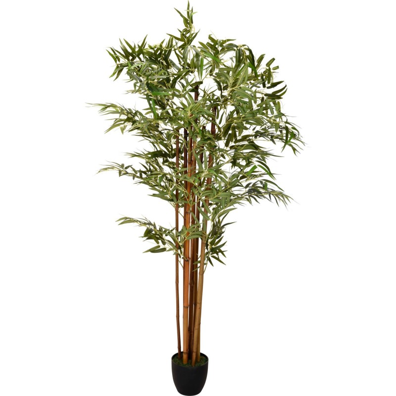 PLANTA BAMBÚ PANDA 180CM