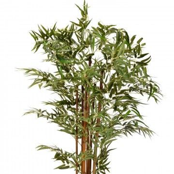 PLANTA BAMBÚ PANDA 180CM