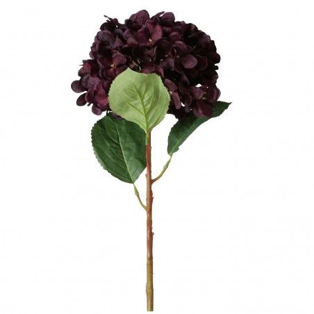 RAMA HORTENSIA NARA 57CM