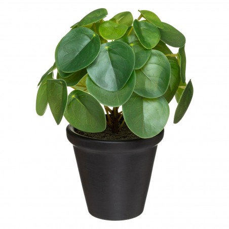 MACETA PILEA YAREL 2COL.