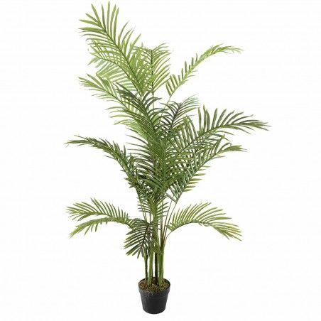 PALMERA AGUILERA 150CM