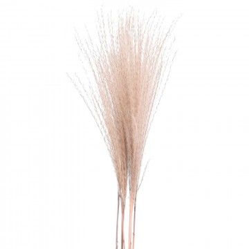 RAMA PAMPAS AGNETA 90CM