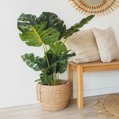 PLANTA MONSTERA GARI 110CM