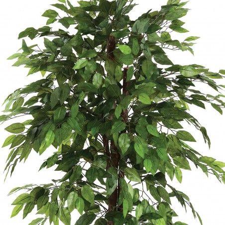 PLANTA FICUS LENNON 180CM