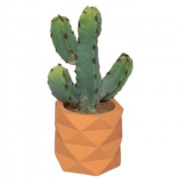 PLANTA CACTUS CANOPÉ 24CM