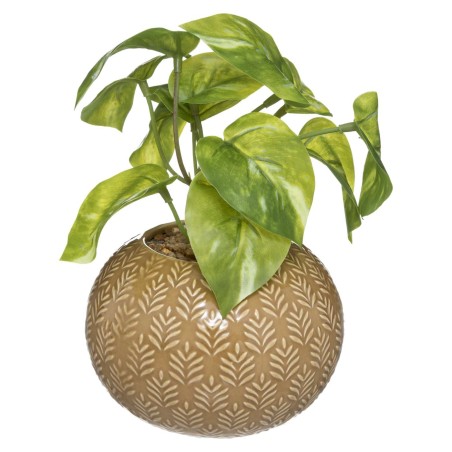 PLANTA NATALIE 24CM