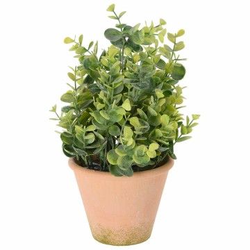 PLANTA SENSE 31CM