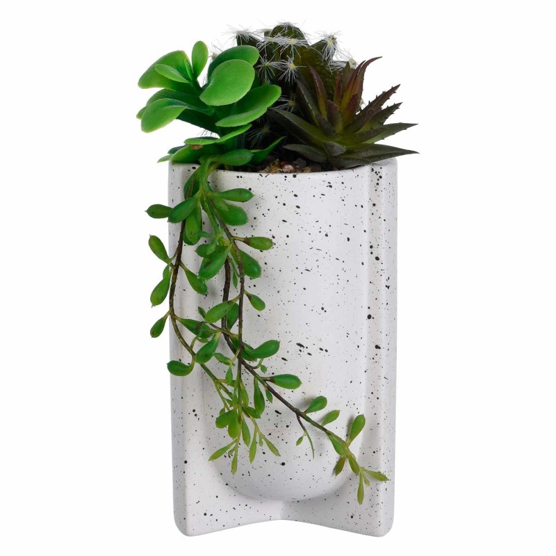 PLANTA MUBI 23CM