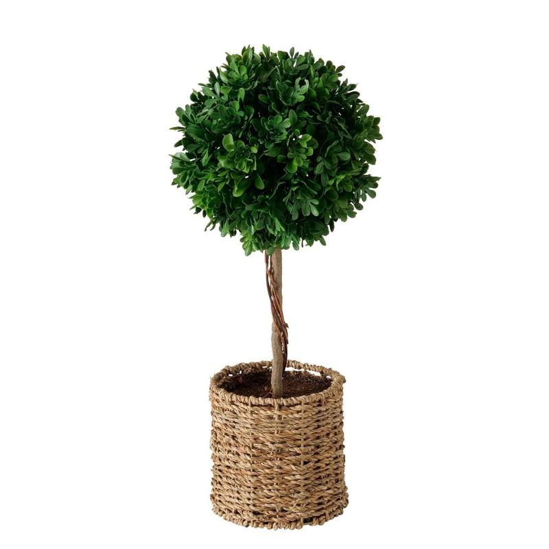 PLANTA ÁRBOL BOJ 43CM