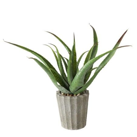 PLANTA MARINA 50CM