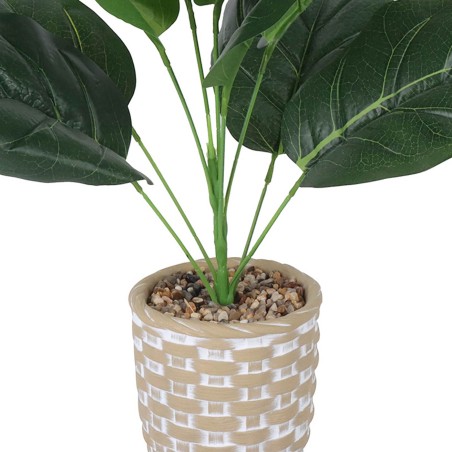 PLANTA BRIANA 36CM