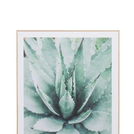 CUADRO NARVANI CACTUS 40X60CM