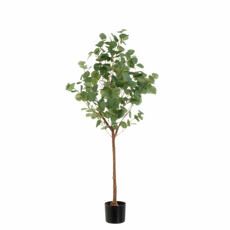 PLANTA EUCALIPTO ATENEA 130CM