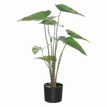 PLANTA ZEBRINA DEBAS 75CM