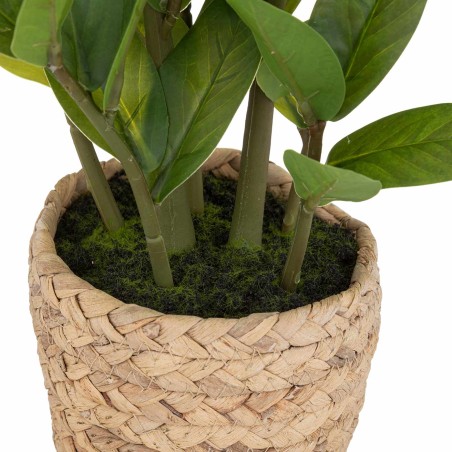 PLANTA PAVEL 41CM