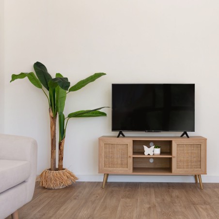 MUEBLE TV WASHINGTON 120X56CM