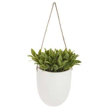 PLANTA COLGANTE MADI 20CM