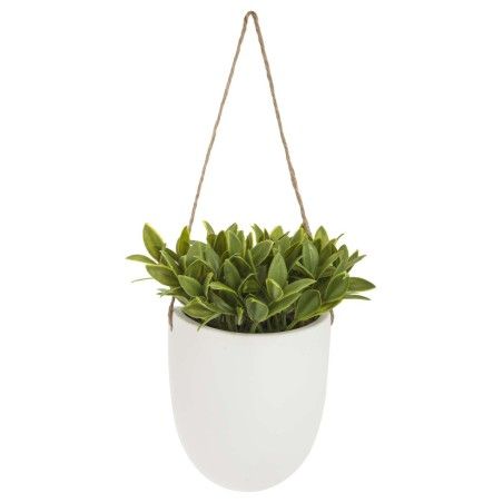 PLANTA COLGANTE MADI 20CM