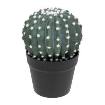 PLANTA CACTUS TAYLER 25CM