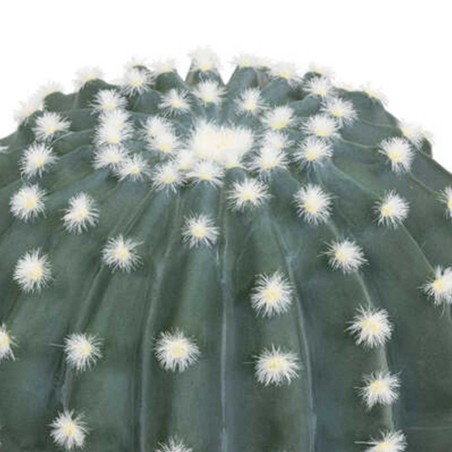 PLANTA CACTUS TAYLER 25CM