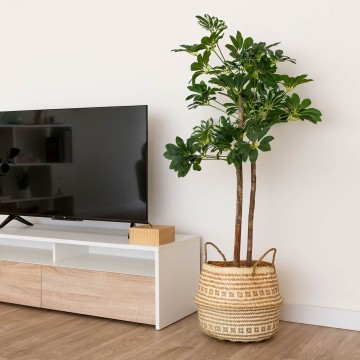 MUEBLE TV BUDAPEST 130X36CM