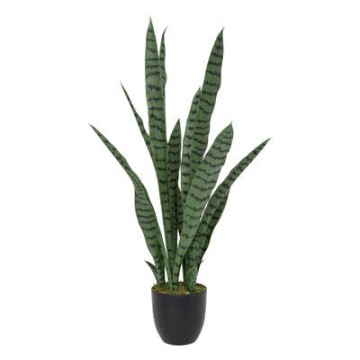 PLANTA SANSEVIERIA YURI 90CM