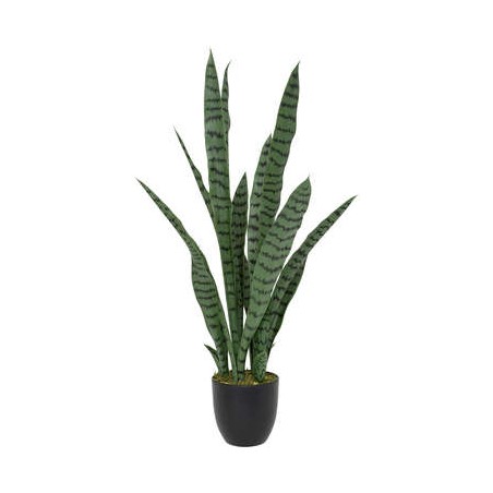 PLANTA SANSEVIERIA YURI 90CM